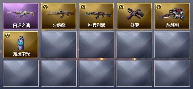 穿越火线（CF）1王者武器 5V武器 1皮肤 可排位 精英