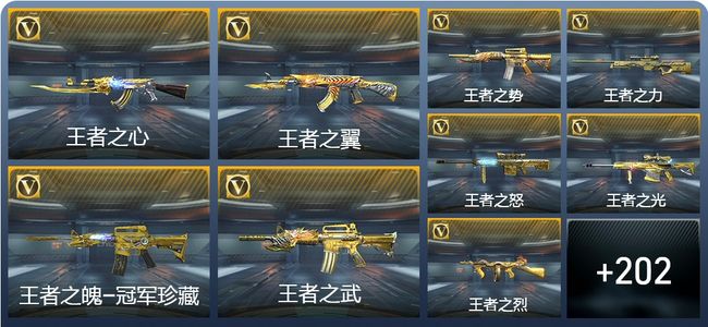 穿越火线：枪战王者V9 28王者武器 216英雄武器 12英雄角色 396万化 枪王S