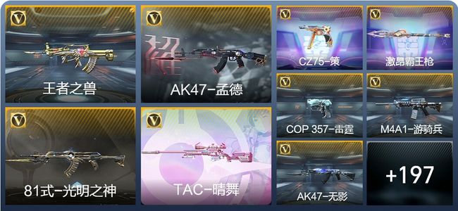 穿越火线：枪战王者V6 8王者武器 213英雄武器 2英雄角色 427万化 枪皇