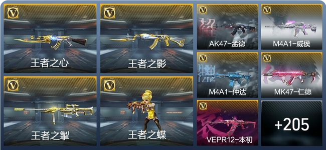 穿越火线：枪战王者V8 16王者武器 241英雄武器 8英雄角色 510万化 枪皇