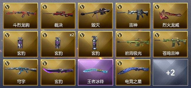 穿越火线（CF）1王者武器 15V武器 5皮肤 可排位 新锐