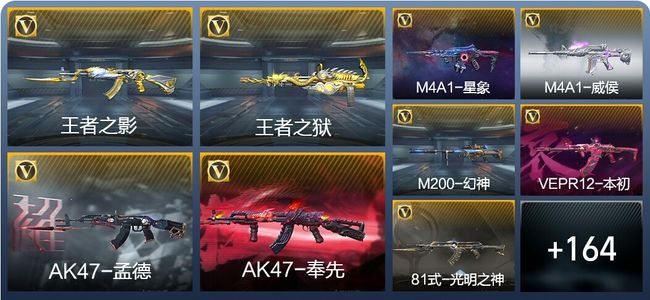 穿越火线：枪战王者3王者武器 173英雄武器 5英雄角色 249万化 枪圣S