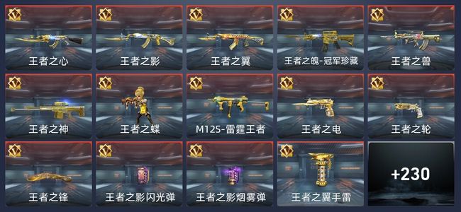 穿越火线：枪战王者V8 20王者 262英雄武器 9英雄角色 554万化 专家S