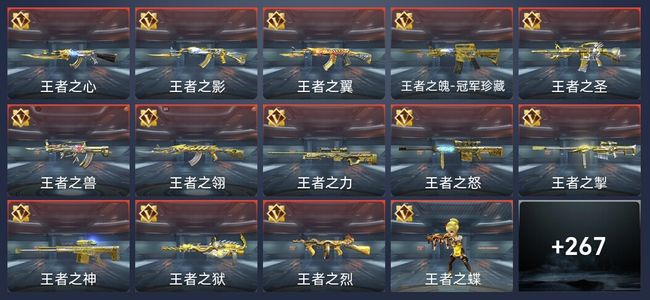 穿越火线：枪战王者46王者 267英雄武器 14英雄角色 591万化 新锐