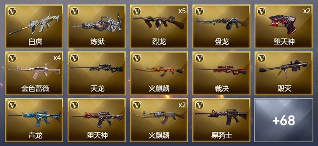 穿越火线（CF）4王者武器 5炫金武器 109V武器 6V角色 24皮肤 可排位