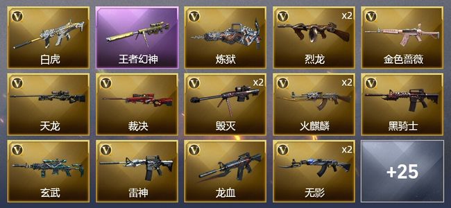 穿越火线（CF）3王者武器 3炫金武器 49V武器 1V角色 18皮肤 可排位