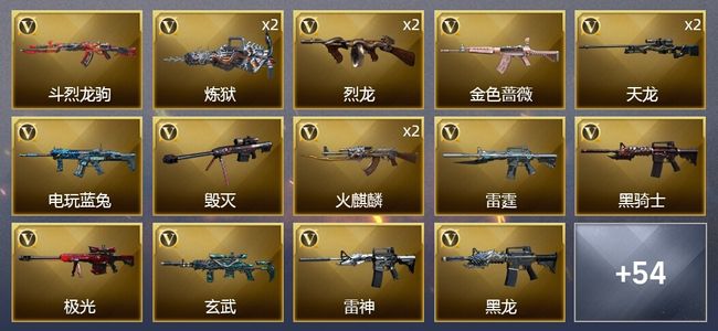 穿越火线（CF）81V武器 5V角色 24皮肤 可排位 枪王