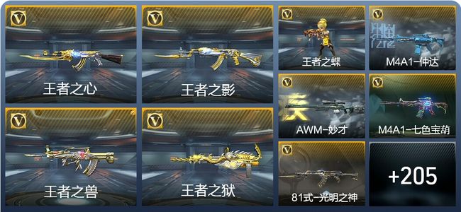 穿越火线：枪战王者V6 20王者武器 214英雄武器 8英雄角色 364万化 枪王SSS