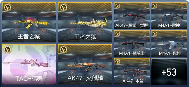 穿越火线：枪战王者2王者武器 62英雄武器 2英雄角色 88万化 专家