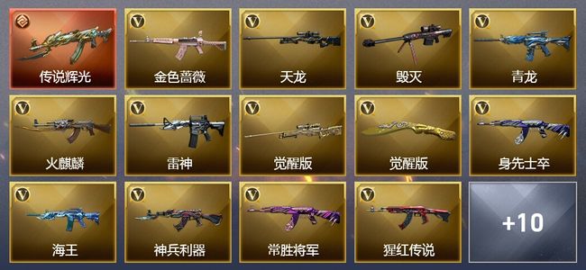 穿越火线（CF）1传说武器 17V武器 1V角色 9皮肤 可排位 新锐