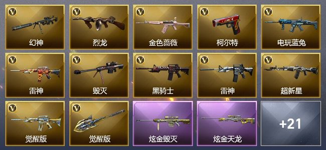 穿越火线（CF）2炫金武器 31V武器 1V角色 11皮肤 可排位 新锐