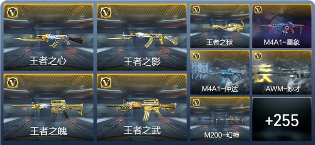 穿越火线：枪战王者23王者武器 264英雄武器 10英雄角色 482万化 枪王S