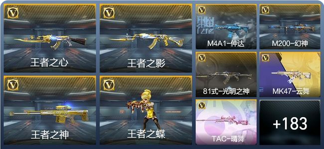 穿越火线：枪战王者V3 8王者武器 192英雄武器 5英雄角色 289万化 专家S