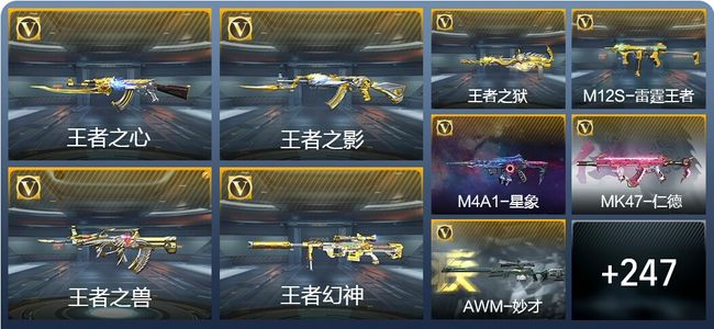 穿越火线：枪战王者V8 29王者武器 256英雄武器 10英雄角色 465万化 专家