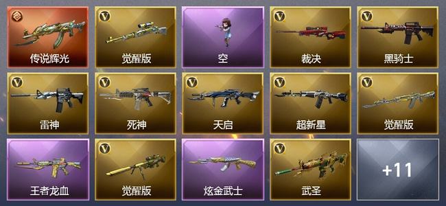 穿越火线（CF）1传说武器 1王者武器 1炫金武器 21V武器 1V角色 4皮肤 可排位 专家