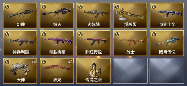 穿越火线（CF）16V武器 9皮肤 可排位 宗师