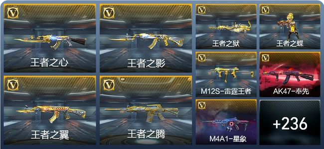 穿越火线：枪战王者V8 12王者武器 273英雄武器 9英雄角色 339万化 枪神