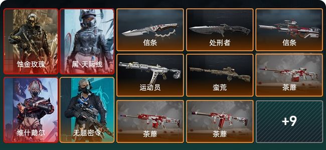 三角洲行动总资产206.9M 8干员外观 2近战 15传说枪械 烽火：黑鹰 战场：军士长