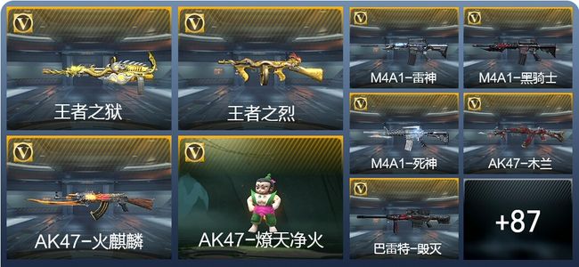 穿越火线：枪战王者V5 4王者武器 105英雄武器 6英雄角色 109万化 专家S