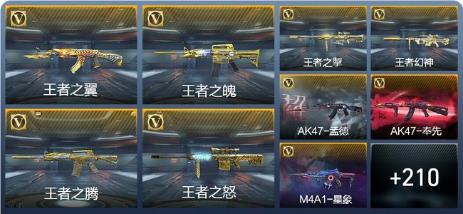 穿越火线：枪战王者V8 22王者武器 219英雄武器 9英雄角色 387万化 专家