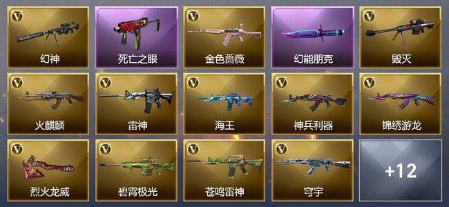 穿越火线（CF）12V武器 2V角色 10皮肤 可排位 传奇