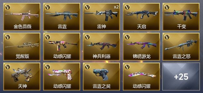 穿越火线（CF）42V武器 2V角色 4皮肤 可排位 传奇