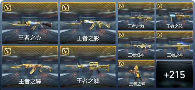 穿越火线：枪战王者37王者武器 239英雄武器 10英雄角色 562万化 枪圣SSS