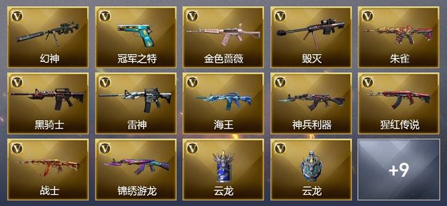 穿越火线（CF）17V武器 1V角色 8皮肤 可排位 专家