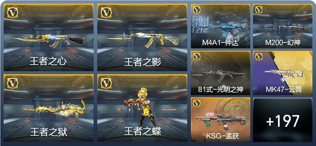 穿越火线：枪战王者V5 8王者武器 206英雄武器 5英雄角色 272万化 枪圣SSS