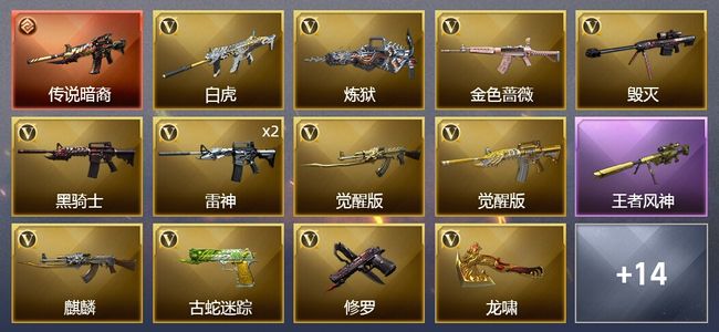 穿越火线（CF）1传说武器 1王者武器 25V武器 1V角色 8皮肤 可排位 新锐