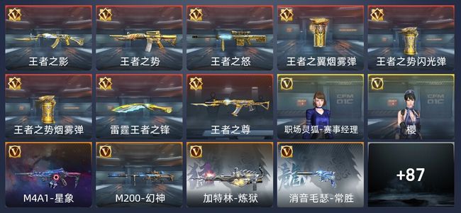 穿越火线：枪战王者V7 8王者 102英雄武器 2英雄角色 268万化 专家S