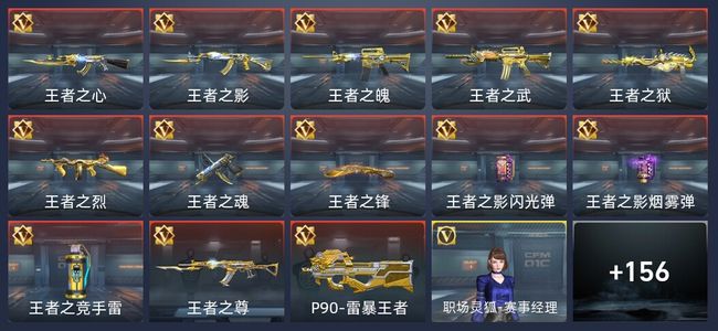 穿越火线：枪战王者V8 13王者 167英雄武器 3英雄角色 271万化 专家
