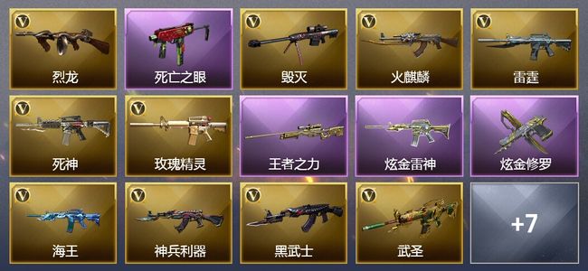 穿越火线（CF）1王者武器 2炫金武器 39V武器 6V角色 2皮肤 可排位