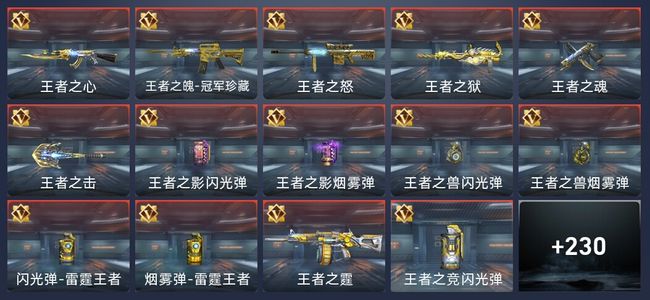 穿越火线：枪战王者17王者 237英雄武器 7英雄角色 439万化 枪圣SS