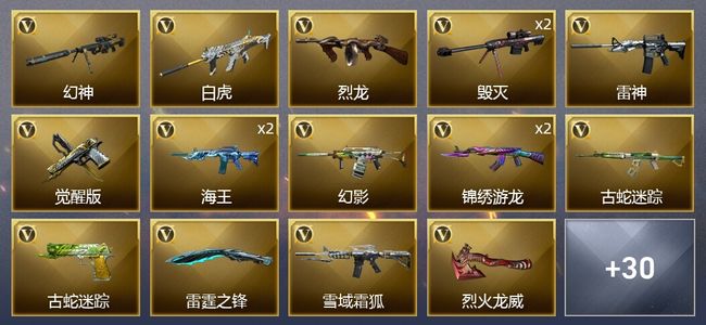 穿越火线（CF）30V武器 2V角色 17皮肤 可排位 宗师