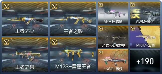 穿越火线：枪战王者11王者武器 199英雄武器 6英雄角色 409万化 枪王SSS