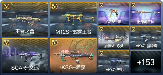 穿越火线：枪战王者4王者武器 178英雄武器 5英雄角色 277万化 大师