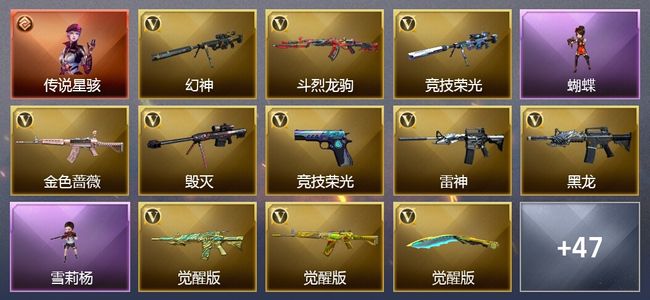 穿越火线（CF）1传说角色 2传说武器 2王者武器 48V武器 4V角色 10皮肤 可排位 宗师