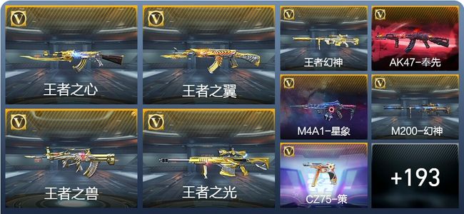 穿越火线：枪战王者V8 20王者武器 224英雄武器 5英雄角色 348万化 枪王