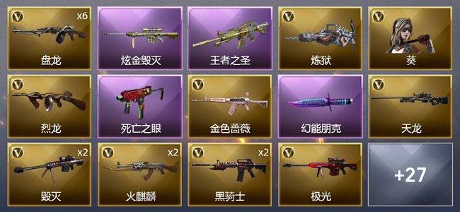 穿越火线（CF）1王者武器 1炫金武器 39V武器 1V角色 13皮肤 可排位 专家