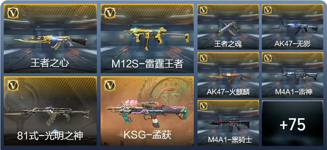 穿越火线：枪战王者4王者武器 84英雄武器 151万化 精英