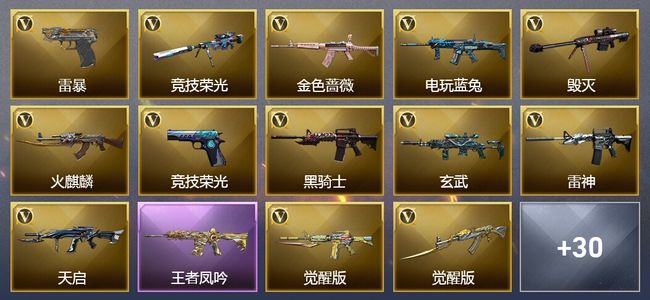 穿越火线（CF）1王者武器 1炫金武器 49V武器 1V角色 16皮肤 可排位 传奇