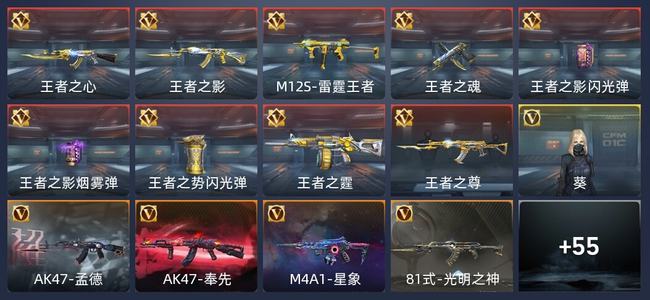 穿越火线：枪战王者V6 108英雄武器 新锐