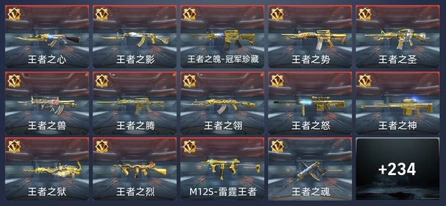 穿越火线：枪战王者V9 354英雄武器 新锐