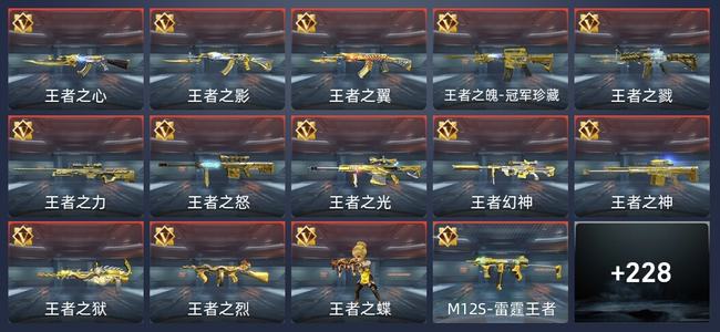 穿越火线：枪战王者V9 395英雄武器 新锐