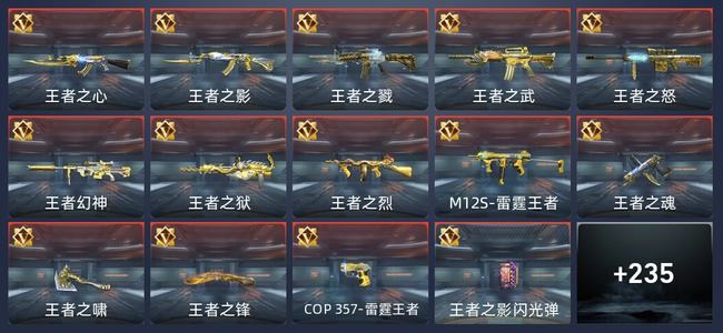 穿越火线：枪战王者V8 412英雄武器 新锐