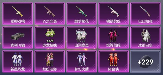 和平精英1载具 5升级枪 9粉装 144套装 56491热力 8印记
