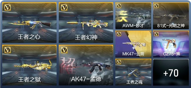 穿越火线：枪战王者V6 138英雄武器 新锐