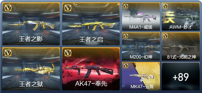 穿越火线：枪战王者V7 176英雄武器 新锐