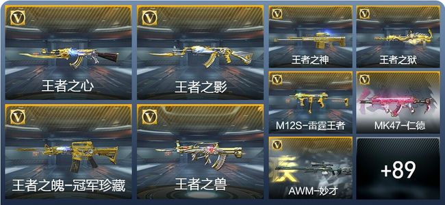 穿越火线：枪战王者V8 159英雄武器 新锐
